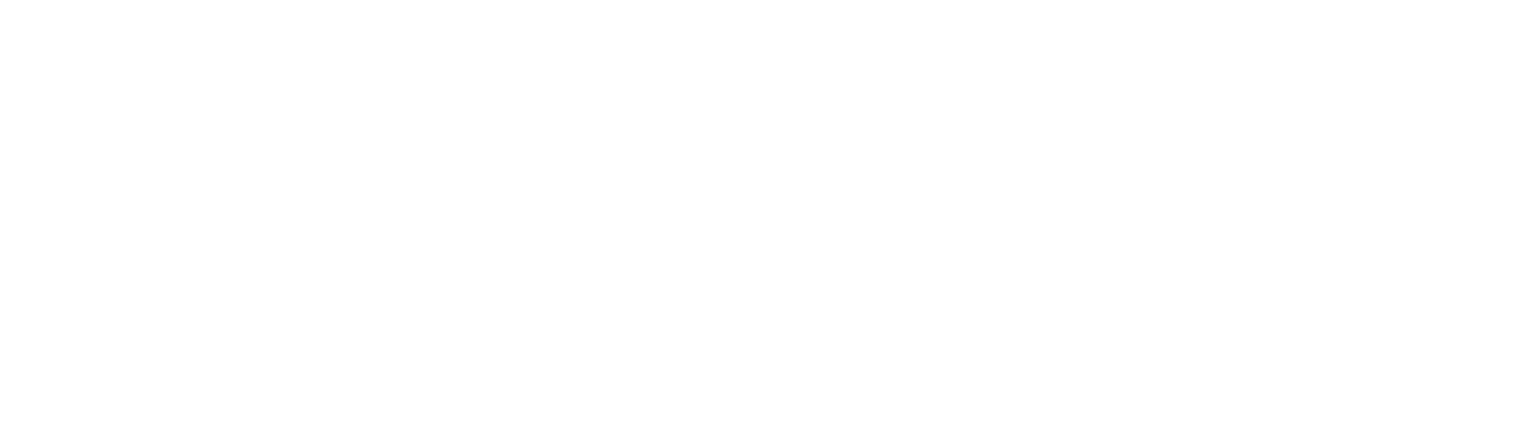 Orca TI